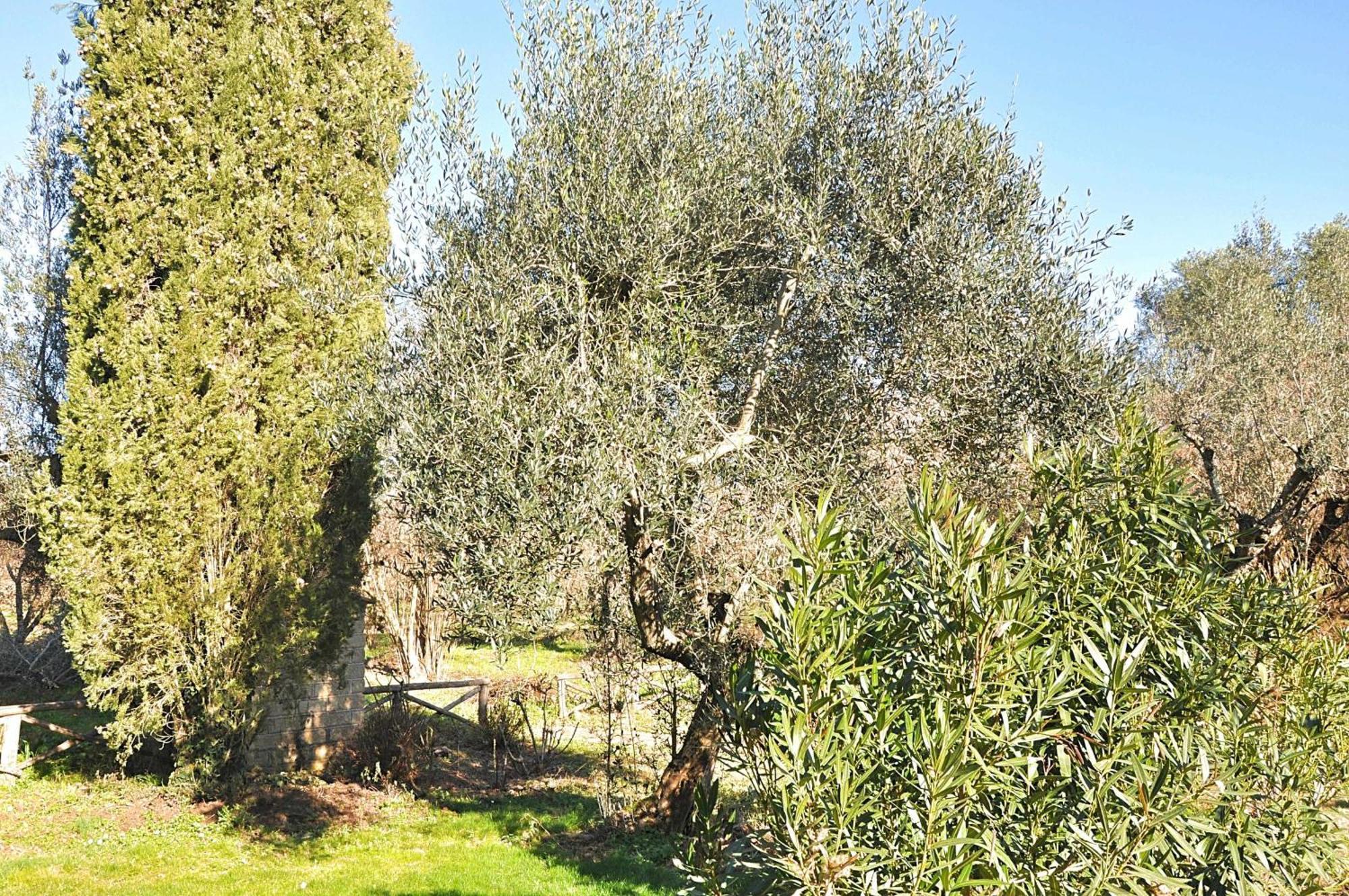 Montecasciano Primula Βίλα Capranica Εξωτερικό φωτογραφία
