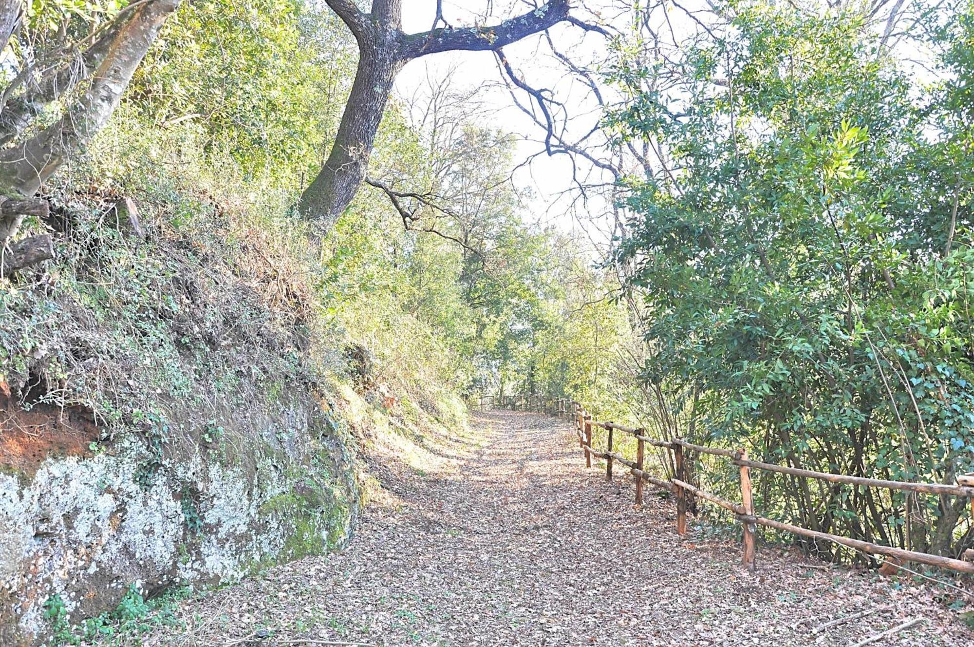 Montecasciano Primula Βίλα Capranica Εξωτερικό φωτογραφία